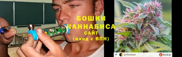 индика Горняк